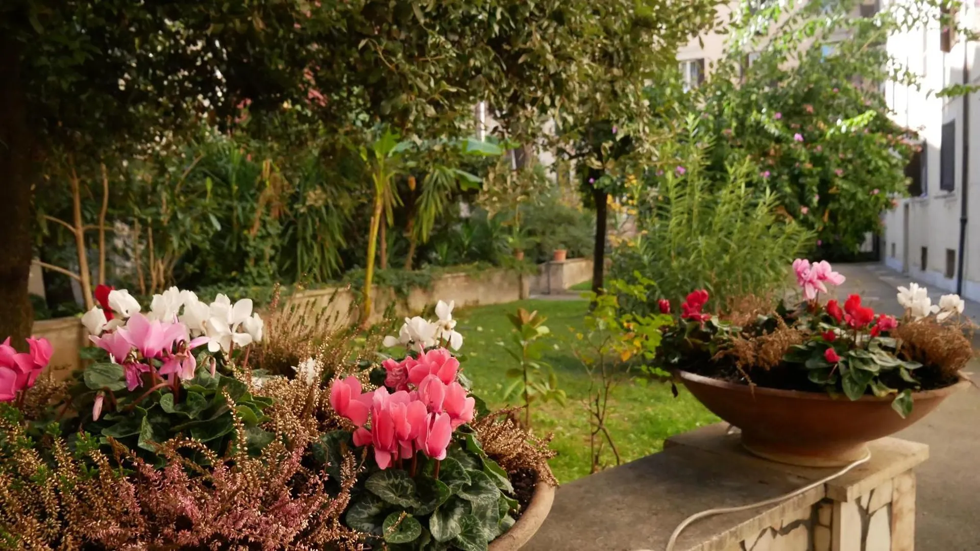 Vera Roma Suite&Apartment - Charming 3 Bedroom Apt - 20Min Walk From Colosseum Rome