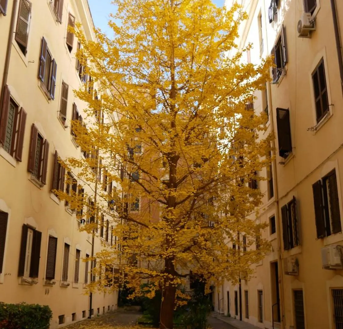Apartment Vera Roma Suite&Apartment - Charming 3 Bedroom Apt - 20Min Walk From Colosseum